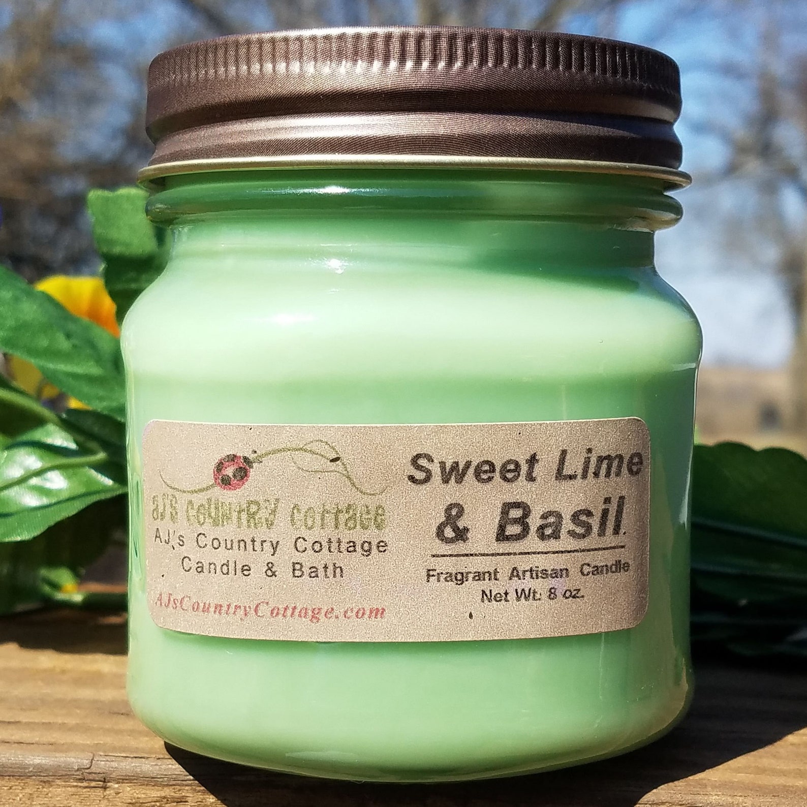 SWEET LIME BASIL Candle Lime Candles Herb Candles Herbal Etsy