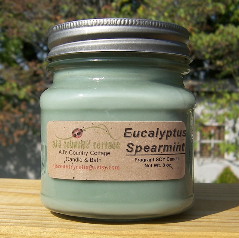 EUCALYPTUS MINT SOY Candle Highly Scented Mint Candles, Fresh Clean Candles, Eucalyptus Candles, Strong Candles, Scented Soy Candles image 2