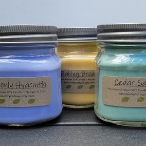 3 SOY CANDLES - Choice - Vanilla, Cinnamon, Apple, Pumpkin, Fresh, Clean, Citrus, Floral, Fruit, Spice, Herbal - Soy Candle Gift Pack