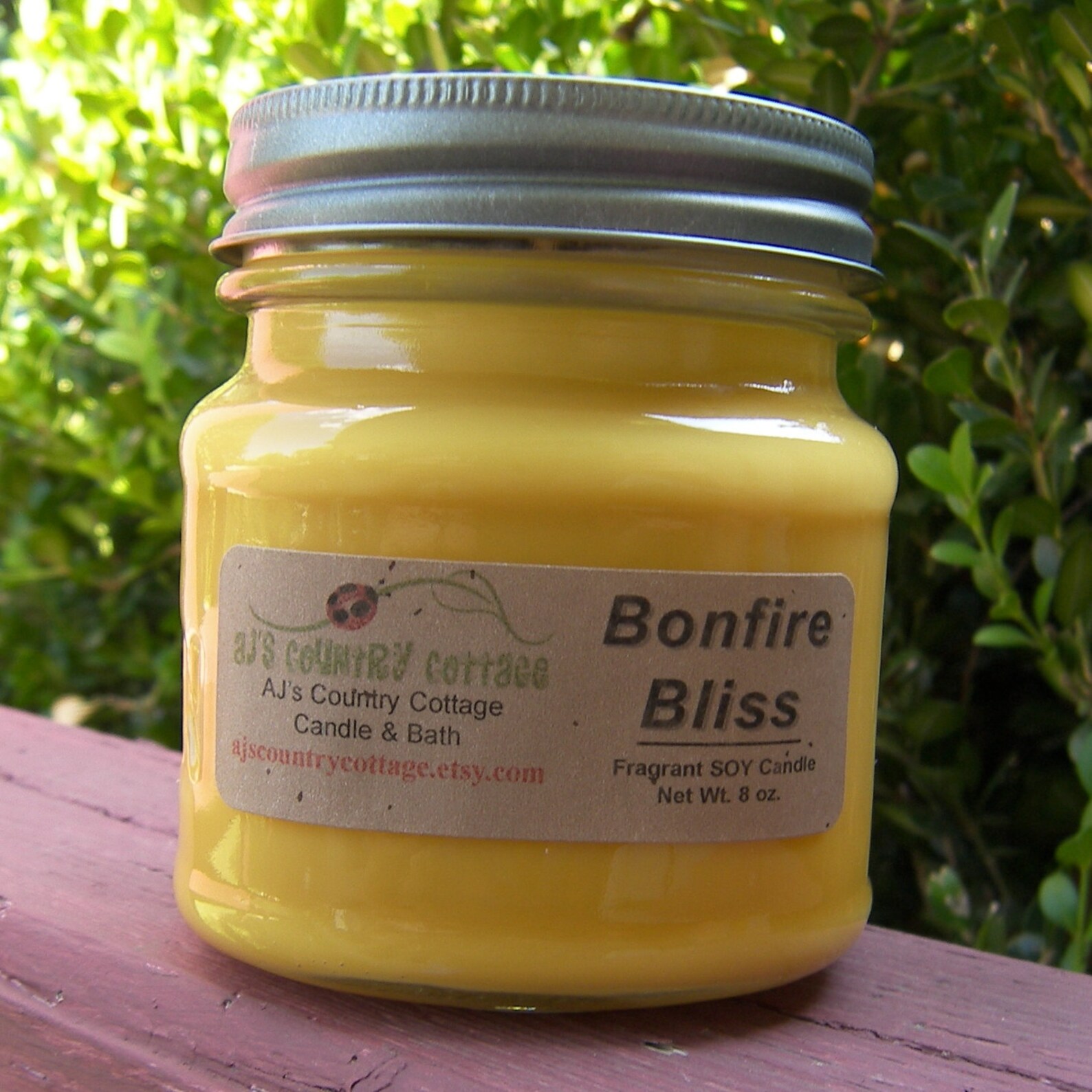 BONFIRE BLISS SOY Candle Fall Candles Autumn Candles Etsy