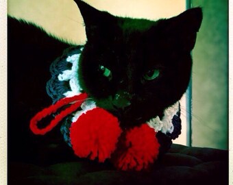 Collier De Chien Xxx Rouge Blanc Et Bleu Chat Collier Etsy