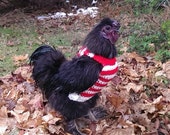 Chicken sweaters, chicken sweater, chickens, hens, crochet, chicken clothing, red, white