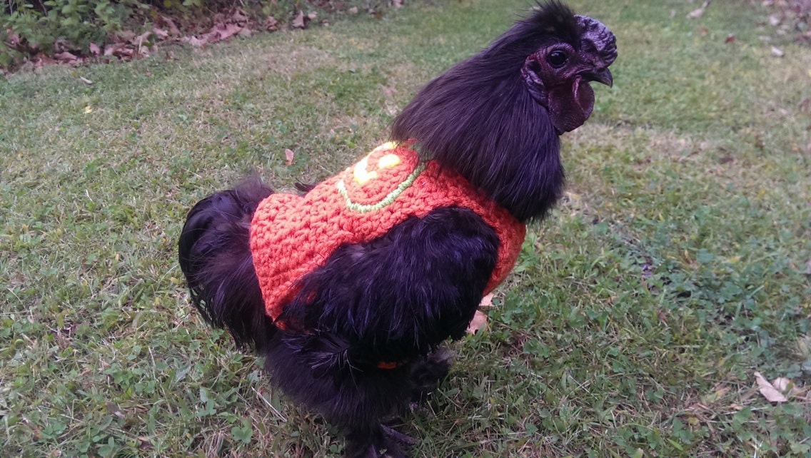 Suéter de pollo pollos gallinas gallos chompas crochet - Etsy España