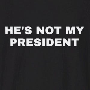 Anti Trump Protest Unisex Softstyle T-Shirt, Resistance Activist Shirt, Political Statement Tee, Liberal Apparel, Activism Gift