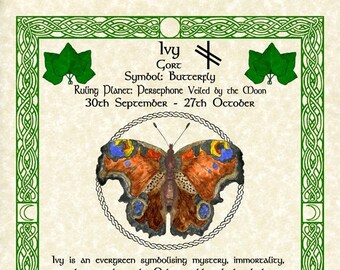 Butterfly Ivy Celtic Zodiac Sign Print for Sept 30-oct 27 - Etsy