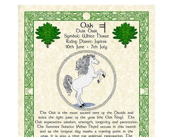 White Horse Oak Celtic Zodiac Sign Print June 10-July 7 Birthday Gift Lunar Astrology Art  Druid Tree Lore Pagan Altar Decor