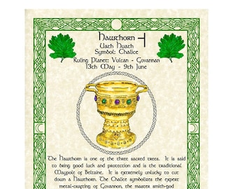 Hawthorn Chalice Celtic Zodiac Sign Print May 13-June 9 Birthday Gift Lunar Astrology Art Druid Tree Lore Pagan Altar Decor