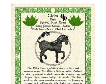 Black Horse Elder Celtic Zodiac Sign Print Nov 25-Dec 23 Birthday Gift Lunar Astrology Art Druid Tree Lore Pagan Altar Decor