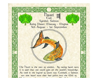 Salmon Hazel Celtic Zodiac Sign Print August 5-Sept 1 Birthday Gift Lunar Astrology Art Druid Tree Lore Pagan Altar Decor