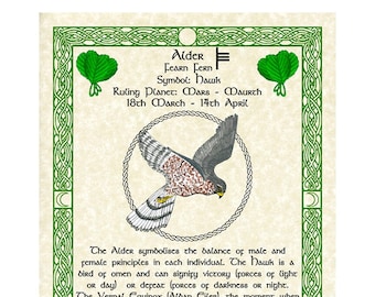 Hawk Alder Celtic Zodiac Sign Print March 18-April 14 Birthday Gift Lunar Astrology Art Druid Tree Lore Pagan Altar Decor