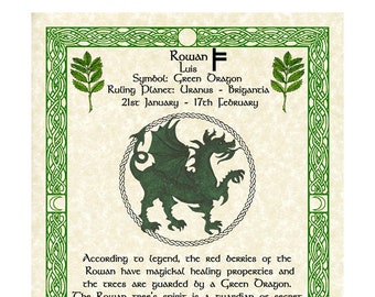 Green Dragon Rowan Celtic Zodiac Sign Print Jan 21-Feb 17 Birthday Gift Lunar Astrology Art Druid Tree Lore Pagan Altar Decor