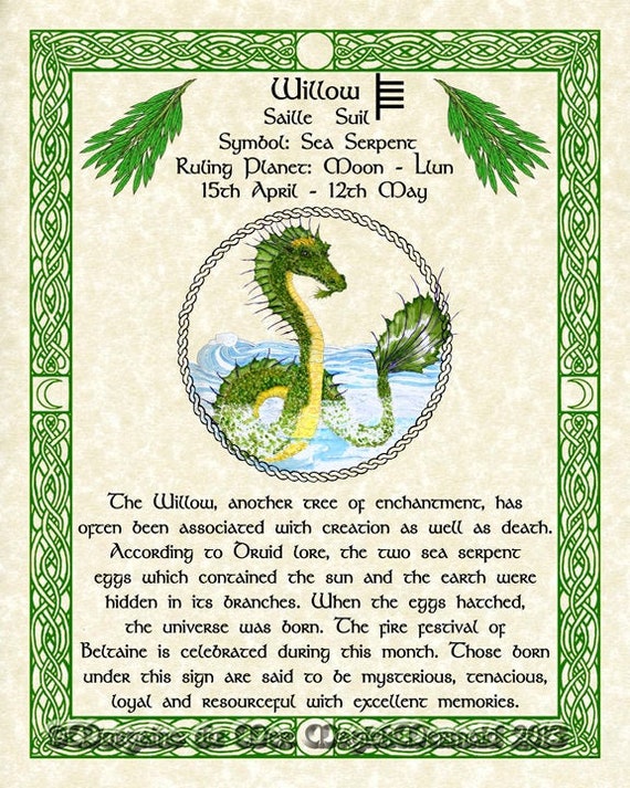 Sea Serpent And Willow Celtic Zodiac Sign Print April 15 May Etsy Sea Serpent And Willow Celtic Zodiac Sign Print April 15 May Etsy