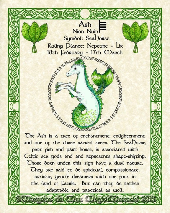 Seahorse Ash Celtic Zodiac Sign Print Feb 18march 17 Birthday Gift