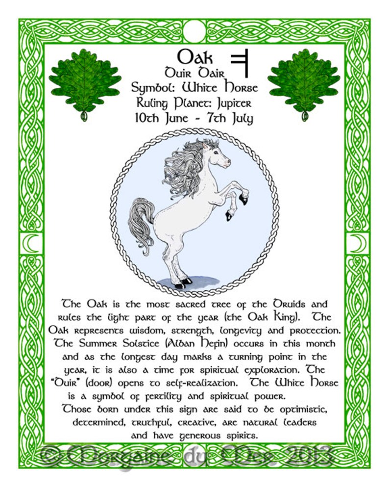 White Horse and Oak Celtic Zodiac Sign Print June 10july 7 Etsy