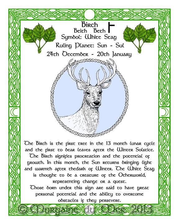 White Stag Birch Celtic Zodiac Sign Print for Dec 24-jan 20 - Etsy