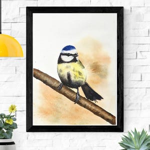 Dipinto ad acquerello originale di una cinciarella 8 x 11 pollici / Arte di uccelli dipinta a mano / Decorazione murale naturalistica / Regalo unico per gli amanti degli uccelli / Belle arti