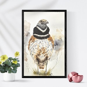 Dipinto originale ad acquerello di una gallina prataiola 8 x 11 pollici / Arte di uccelli in via di estinzione / Decorazione della fauna selvatica delle praterie / Regalo unico per gli amanti del birdwatching