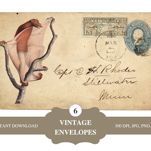 Vintage enveloppen 6 afbeeldingen hoge kwaliteit verzendkosten oude ansichtkaarten afdrukbare | Digitale collagebladen | Efemere ongewenste tijdschriften | Dierenkaarten