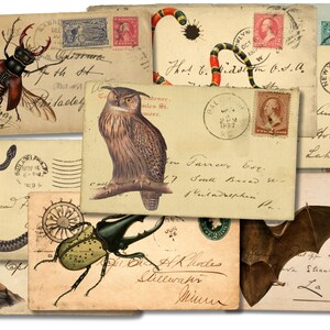 Halloween-enveloppen 12 afbeeldingen hoge kwaliteit verzendkosten oude ansichtkaarten afdrukbare | Digitale collagebladen | Efemere ongewenste tijdschriften | Vintage kaarten