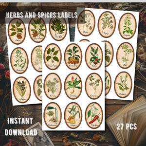 Étiquettes d'apothicaire vintage herbes et épices | 27 étiquettes de pots antiques de conception numérique imprimables pour des bouteilles Modèle de toile d'autocollant modifiable DIY