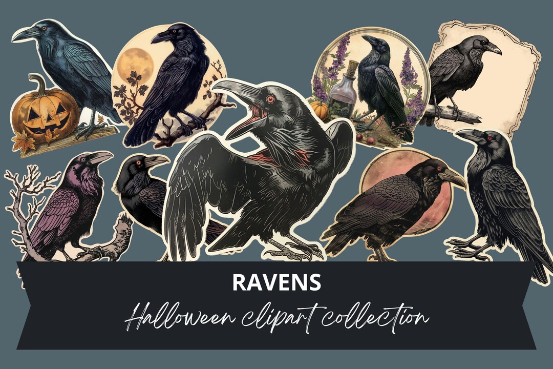 9 Raven Halloween Clipart Stickers, Digital Crow Illustrations, Spooky Gothic Printable Art, PNG ...