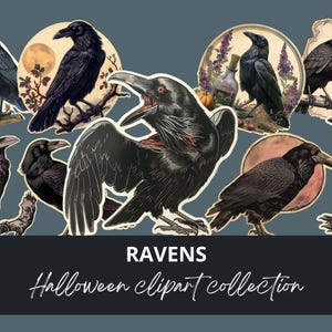 May include: A collection of ten black raven illustrations with various poses and backgrounds. The ravens are depicted in a vintage style with intricate details. The illustrations are perfect for Halloween projects, scrapbooking, and other creative endeavors.