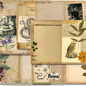 Magical Eclectic Digital Junk Journal Kit Practical Magic Pages Printable Vintage Ephemera Botanical Spellbook Grimoire Witch Scrapbooking