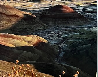 The Painted Hills at Sunrise, Oregon - (portrait). Unique Fine Art Photographic Matted Print by Philip Rowntree.