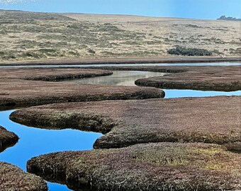 Drakes Estero, Oyster Road, Point Reyes National Seashore, Marin County, California. Unique Fine Art Photographic Print by Philip Rowntree.