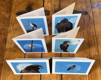 Birds and The Moon Six Images: Handmade (Blank Inside) Gift Cards + Envelopes - Handmade in Berkeley Ca - Fine Art Landscape Photography