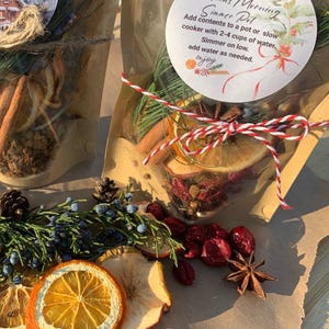 Packed with the Finest Ingredients Simmer Pot, Christmas Morning Kit, Holiday Stovetop Potpourri, Gift Experience