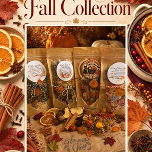 May include: Four clear pouches filled with dried fruit, spices, and botanicals for simmer pots, labeled Cuddle Weather, Fall Harvest, Pumpkin Season, and Crisp Autumn Air. The pouches are surrounded by orange leaves, cinnamon sticks, and cranberries.