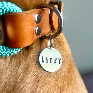 Brass dog tag, ID tag, emergency tag, identification tag, personalized tag for dogs