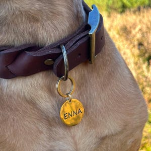 Stainless steel dog tag, ID tag, emergency tag, identification tag, personalized tag for dogs