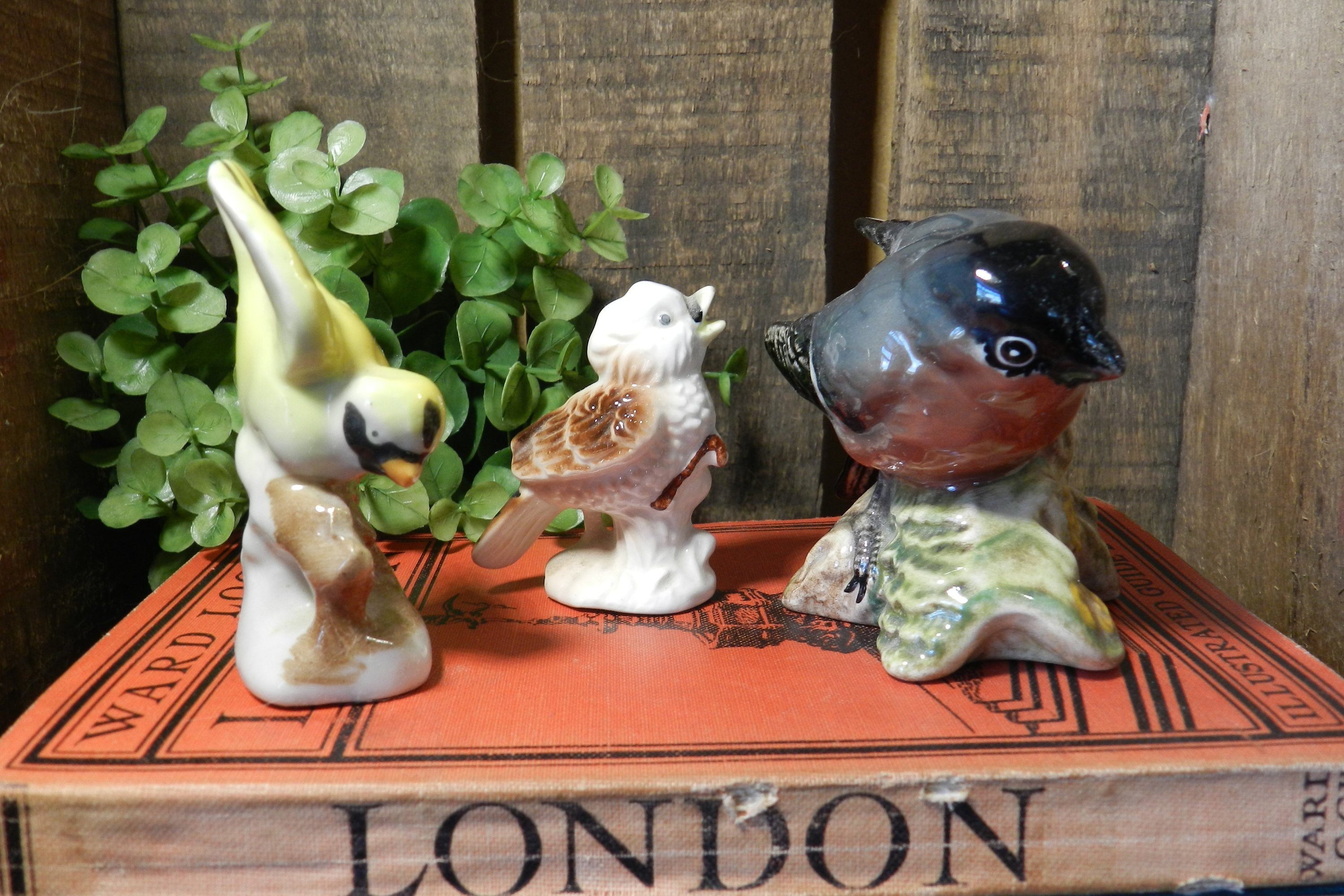 Vintage Birds- Cream - Deluxe 5 Pc Set