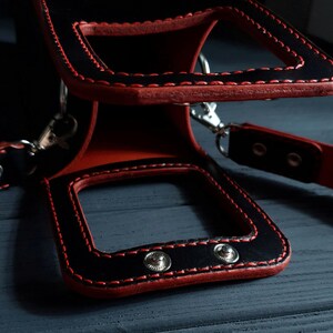 May include: Close-up of a black and red leather harness with red stitching. The harness has a square shape with silver metal hardware and snap closures. The leather is a deep black and red.