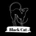 Black Cat