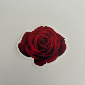 Red Rose Sticker - rose stickers - florals - flower decal - laptop - water bottle - journaling stickers