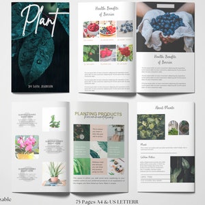 Libro de trabajo de jardinería, plantilla de libro electrónico de tienda de plantas, plantilla de libro de trabajo, plantilla de jardín, plantilla de libro electrónico Canva, plantilla de libro electrónico editable tamaño carta A4 de EE. UU.
