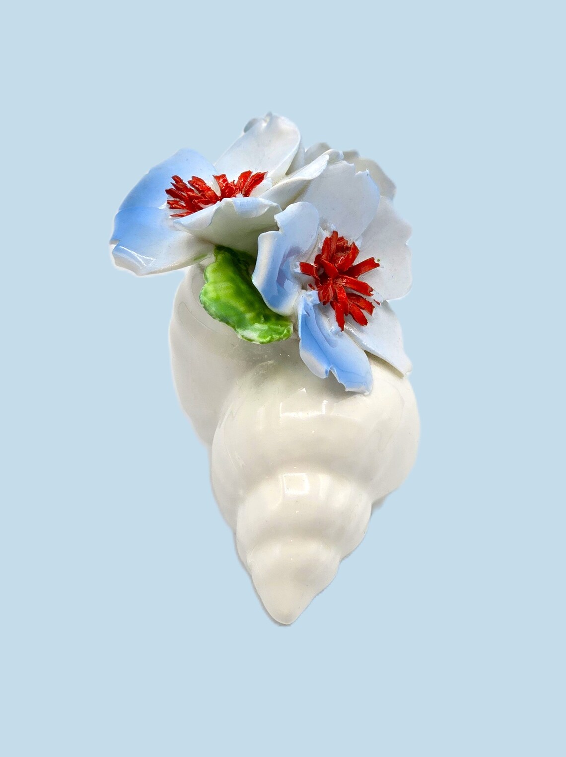 Bone China Sea Shell Has Blue Dogwood Flowers With Red Centers and ...