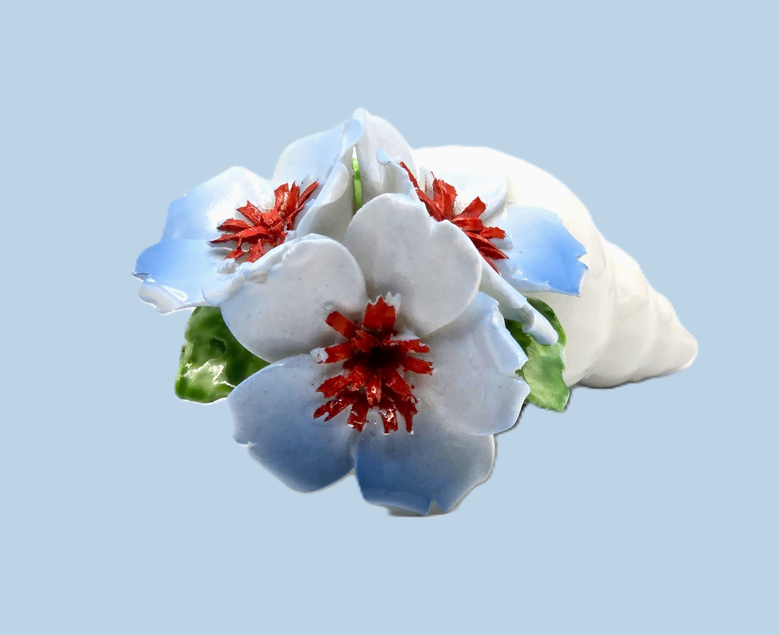 Bone China Sea Shell Has Blue Dogwood Flowers With Red Centers and ...