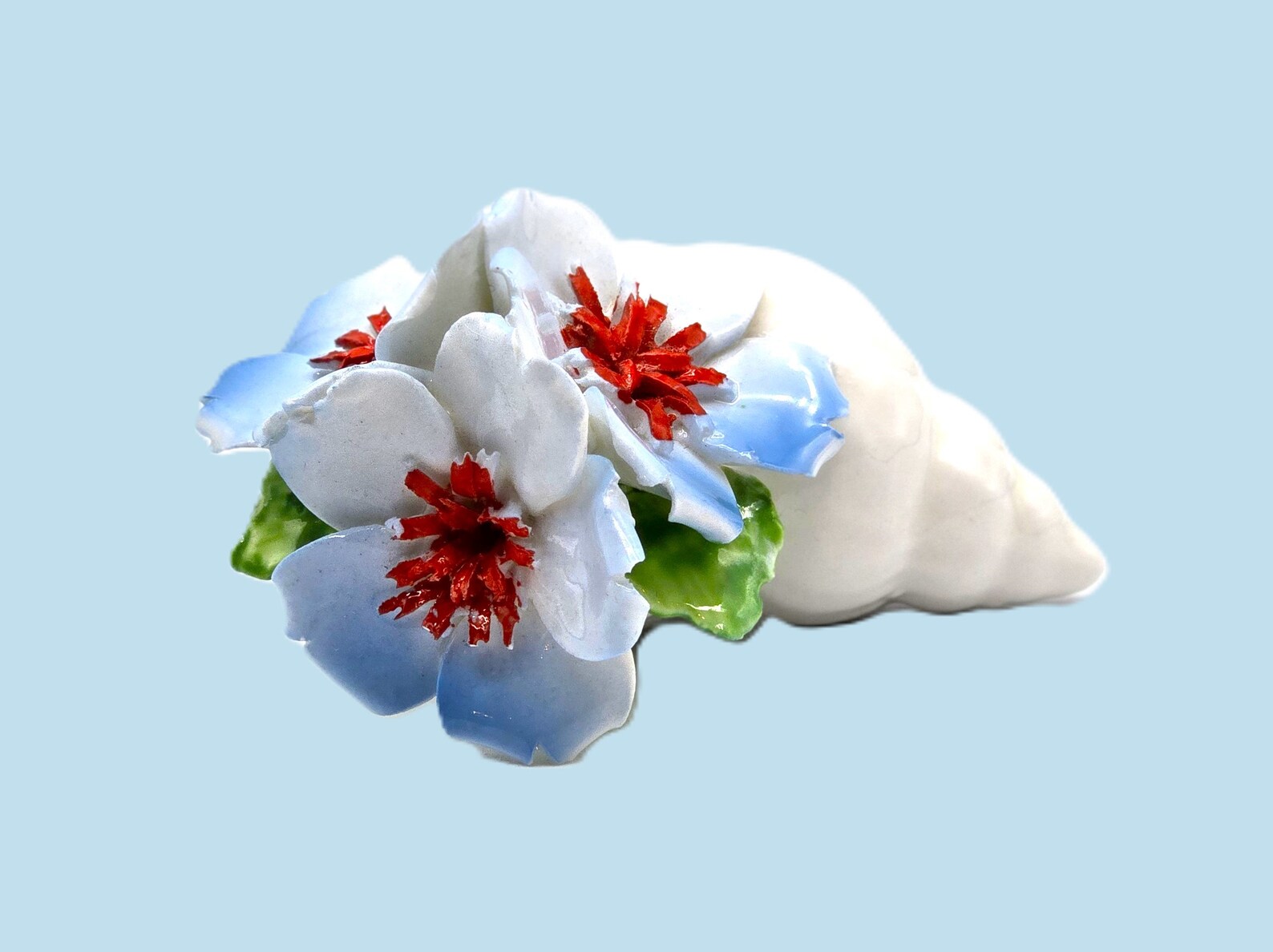 Bone China Sea Shell Has Blue Dogwood Flowers With Red Centers and ...