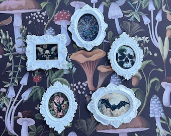 Whimsigoth Victorian Oddity Art Framed Oddities and Curiosities Wall Hanging or Easel Goth Gothic Home Decor Skull Bat Spiderweb Beetle
