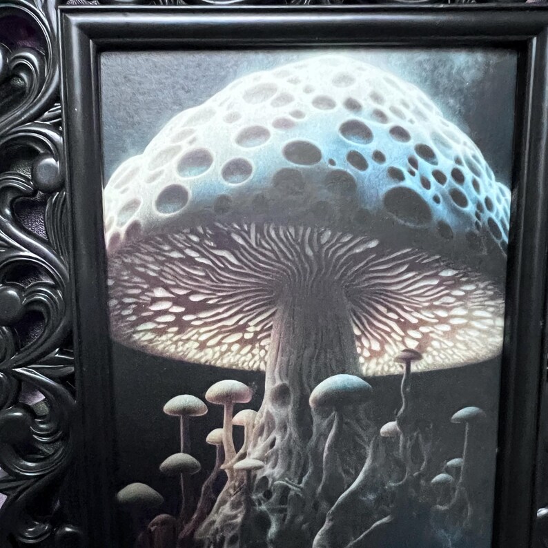 May include: A framed print of a large, blue and white mushroom with a textured cap and gills. The mushroom is surrounded by smaller mushrooms in a dark background.