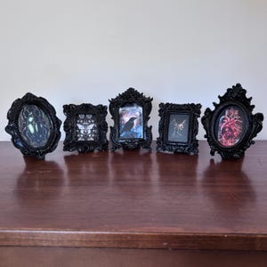 May include: Five black ornate picture frames with glass fronts, each displaying a different image. The images include a beetle, a butterfly, a crow, a spider, and a heart in a bottle.