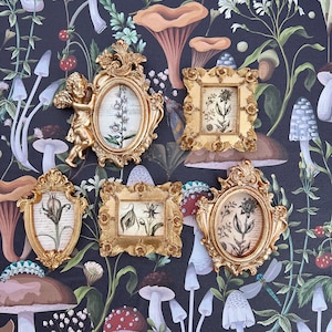 Botany Voynich Manuscript Oddity Art Cottage Victorian Painting Style AI Framed Oddities Wall Hanging or Set on Easel Gothic Home Decor