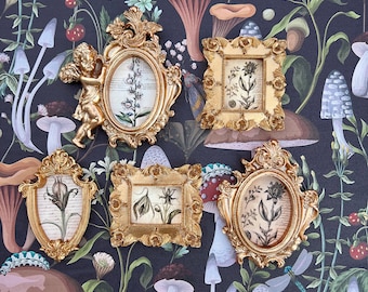 Botany Voynich Manuscript Oddity Art Cottage Victorian Painting Style AI Framed Oddities Wall Hanging or Set on Easel Gothic Home Decor