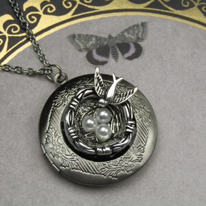 Birds Nest Photo Locket Cottage Core Necklace Stainless Steel Necklace Chain Witch Woods Forest Fairy Cottagecore