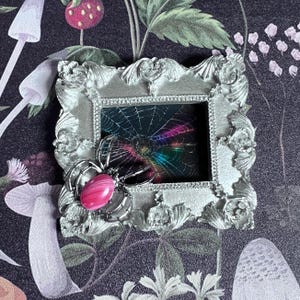 May include: A silver-colored, ornate picture frame with a spider and a pink gemstone. The frame holds a picture of a spider web with rainbow colors. The spider is attached to the frame and has a pink, oval-shaped gemstone as its body.