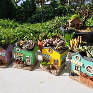 Peut inclure: Plusieurs jardinières en forme de maison, colorées et remplies de succulentes. Les jardinières sont peintes en violet, vert, jaune et turquoise, avec des bases en forme de briques et des auvents. L'image présente une variété de plantes succulentes.